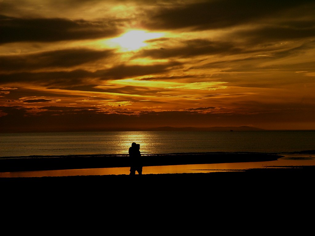 Click now to see this image full size.