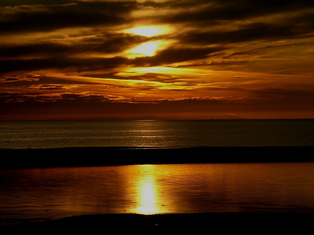 Click now to see this image full size.