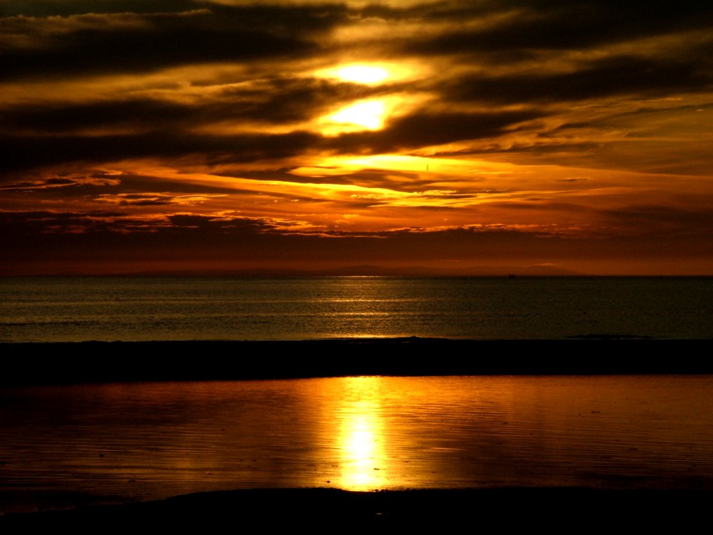 Click now to see this image full size.