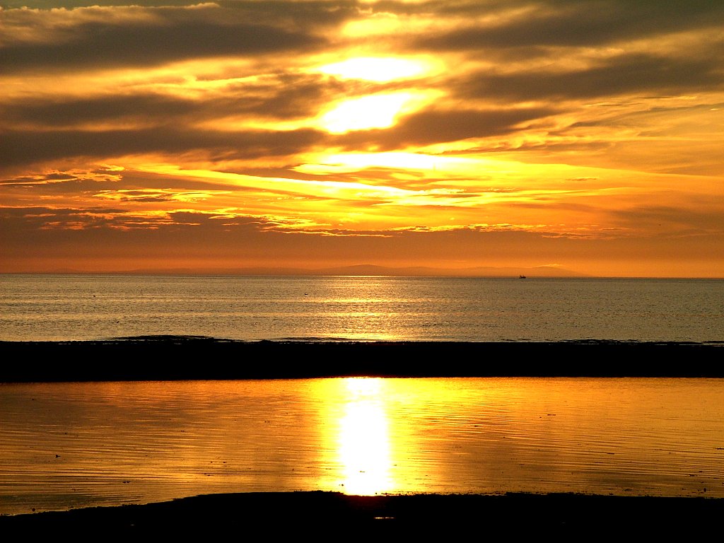 Click now to see this image full size.