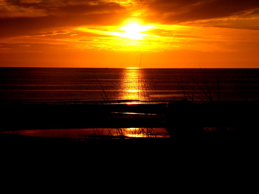 Click now to see this image full size.