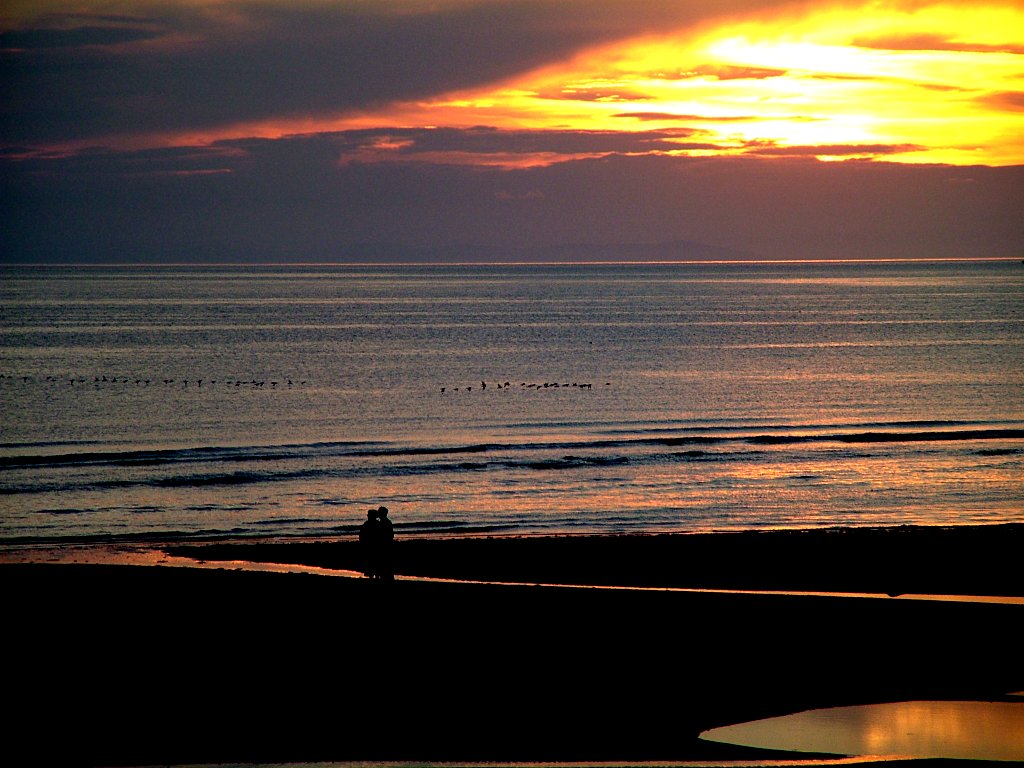 Click now to see this image full size.