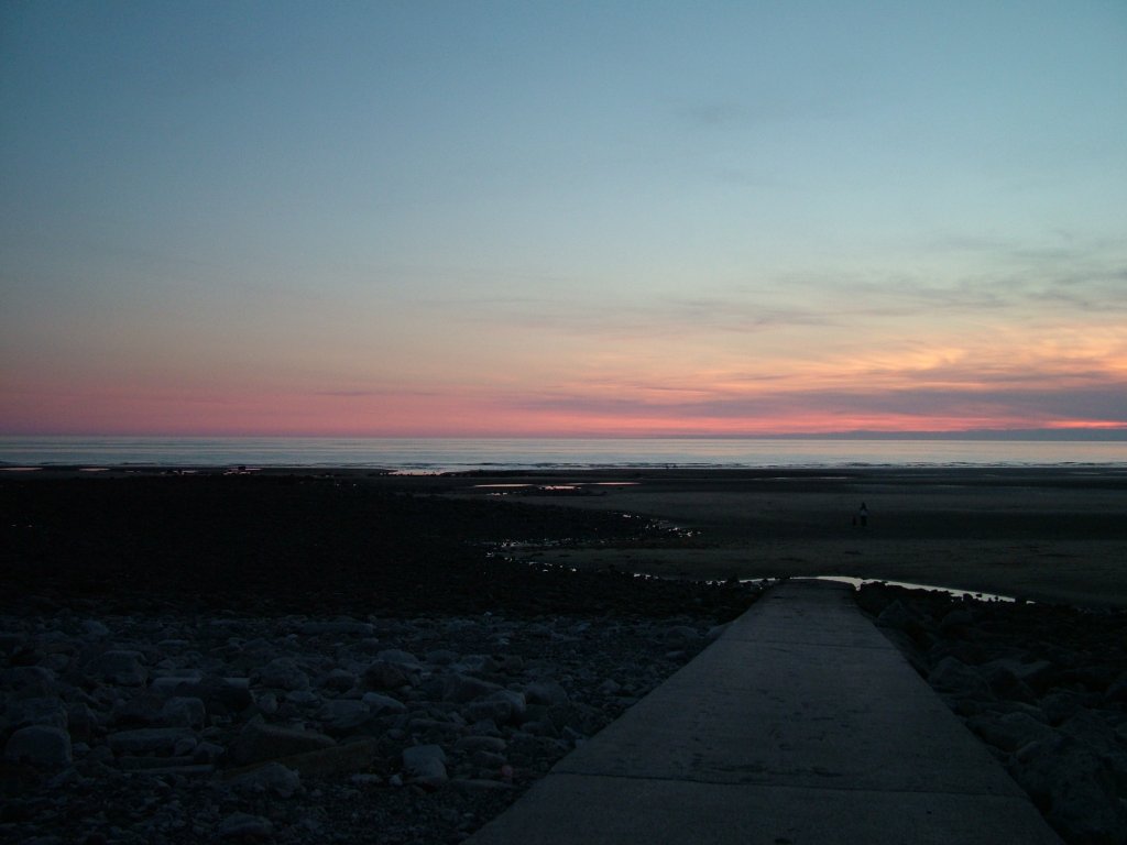 Click now to see this image full size.