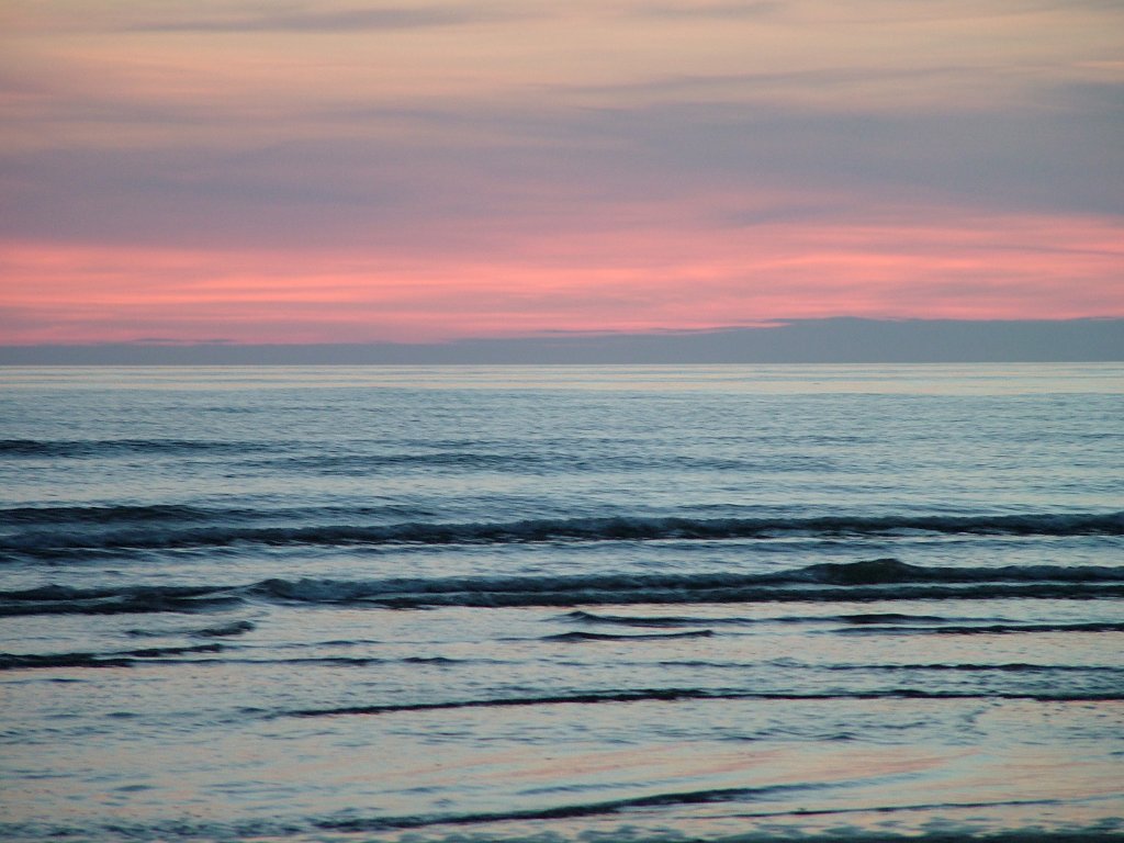 Click now to see this image full size.