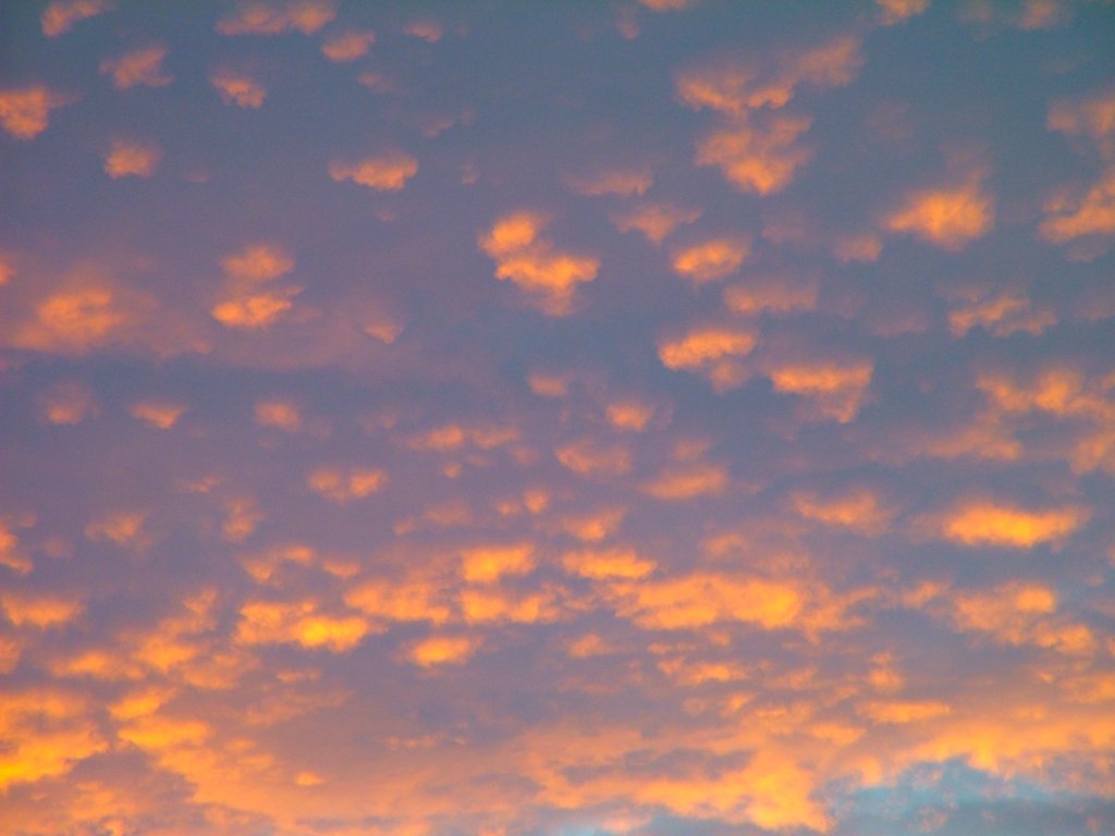 Click now to see this image full size.