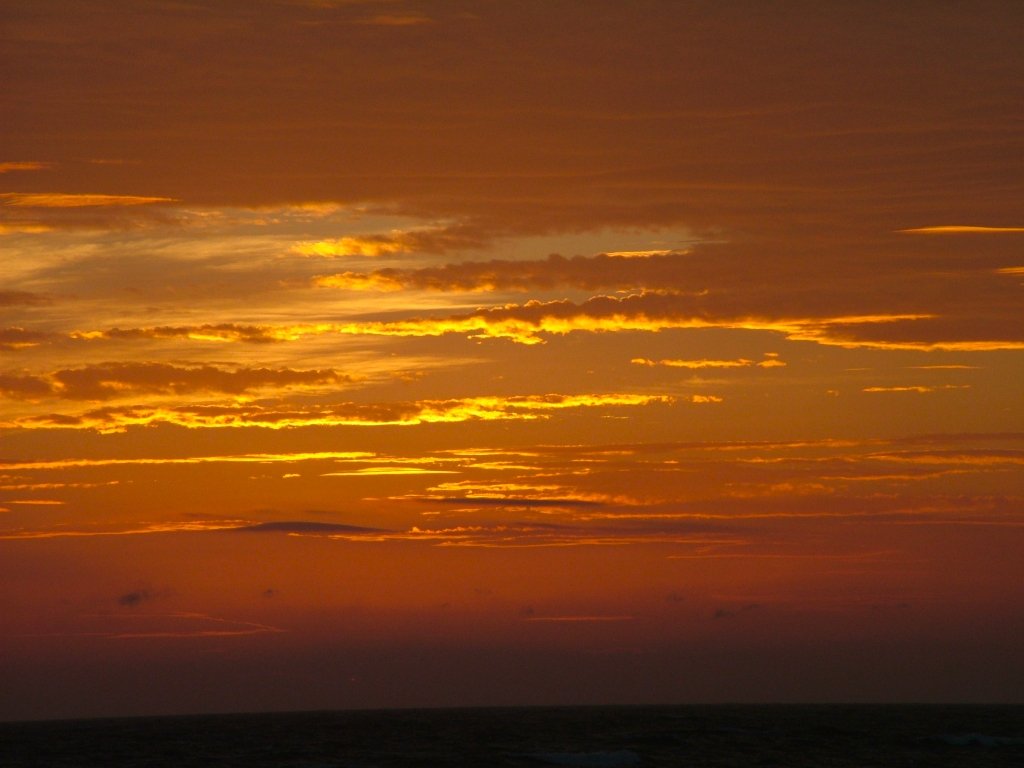 Click now to see this image full size.