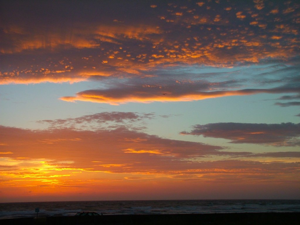 Click now to see this image full size.