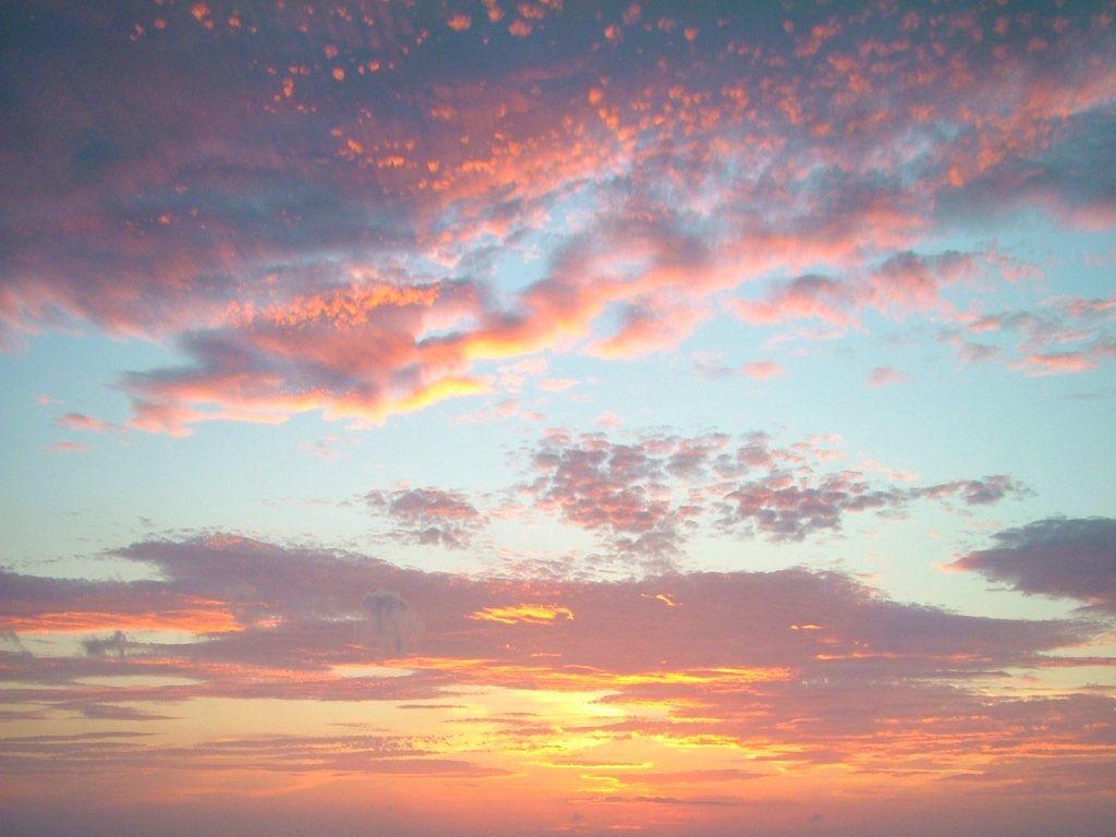 Click now to see this image full size.