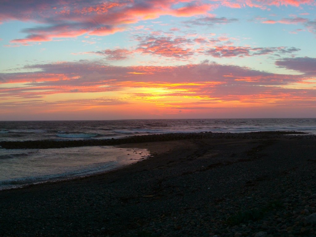 Click now to see this image full size.