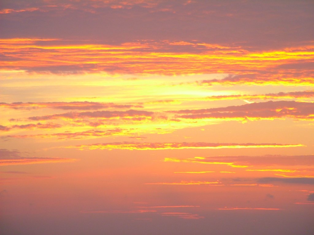 Click now to see this image full size.