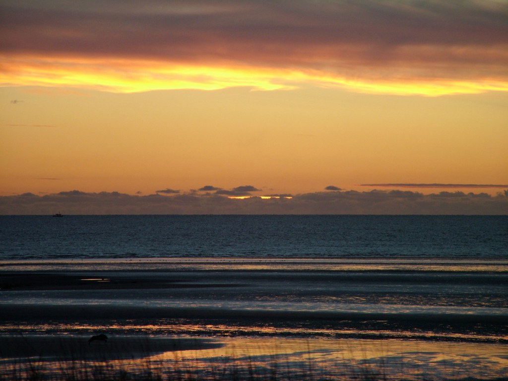 Click now to see this image full size.