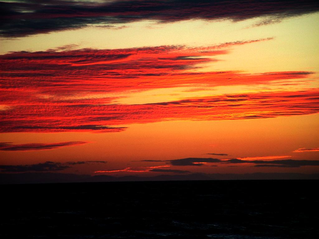 Click now to see this image full size.