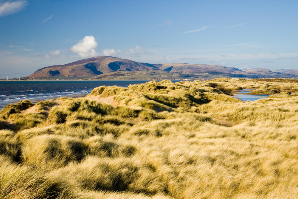 Click now to see this image full size.