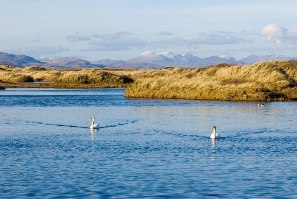 Click now to see this image full size.