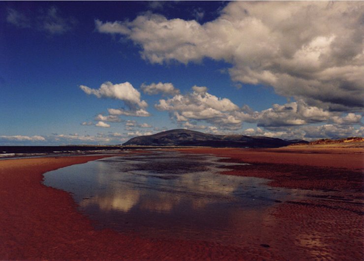 Click now to see this image full size.