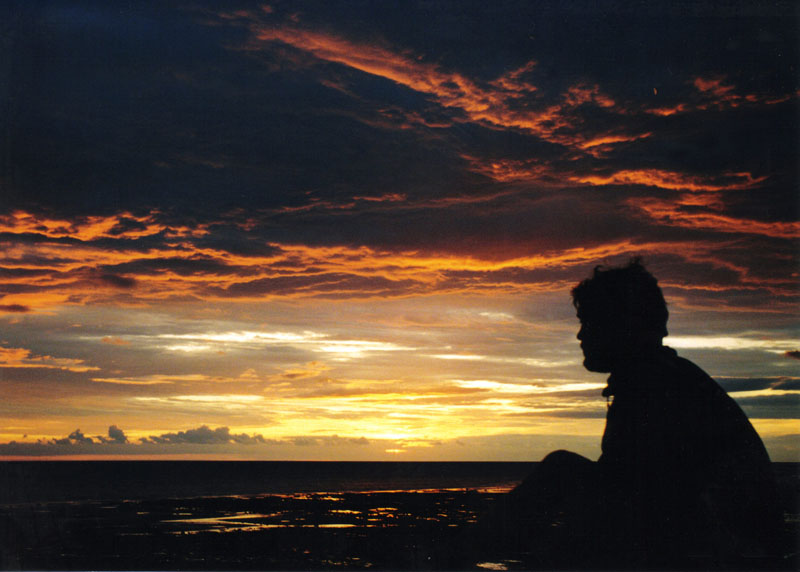 Click now to see this image full size.