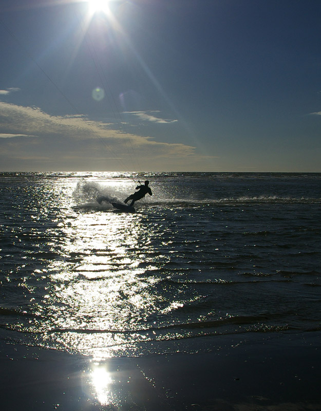 Click now to see this image full size.