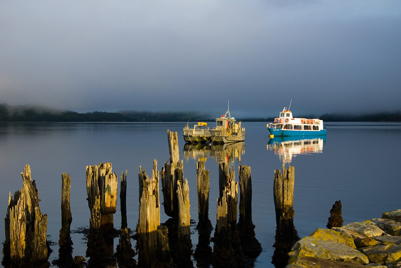 Click now to see this image full size.