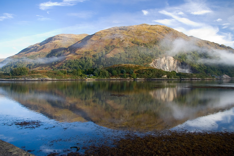 Click now to see this image full size.