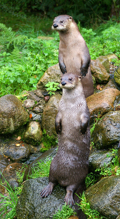 Click now to see this image full size.