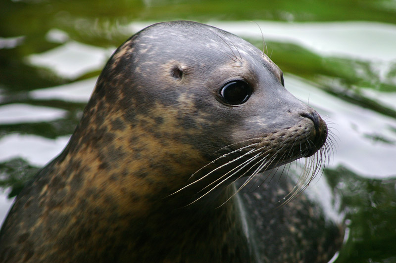 Click now to see this image full size.