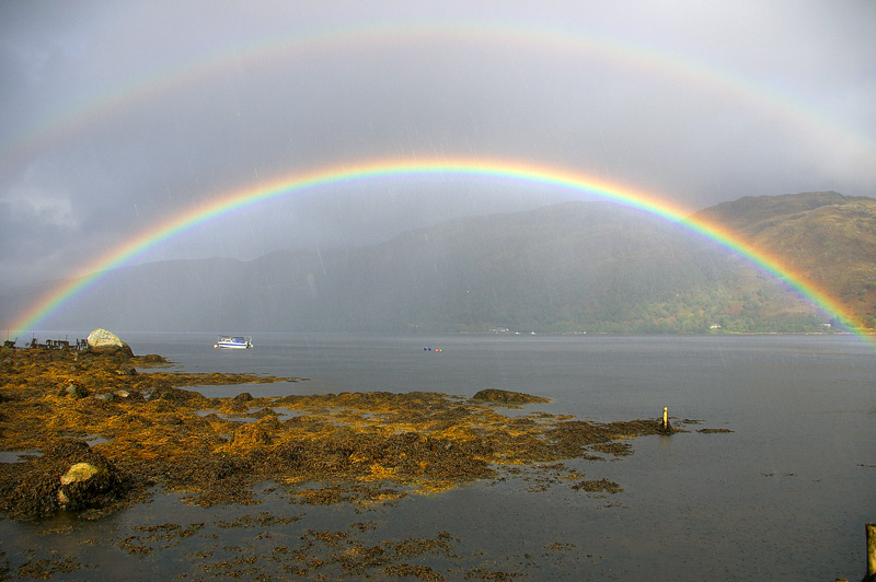 Click now to see this image full size.