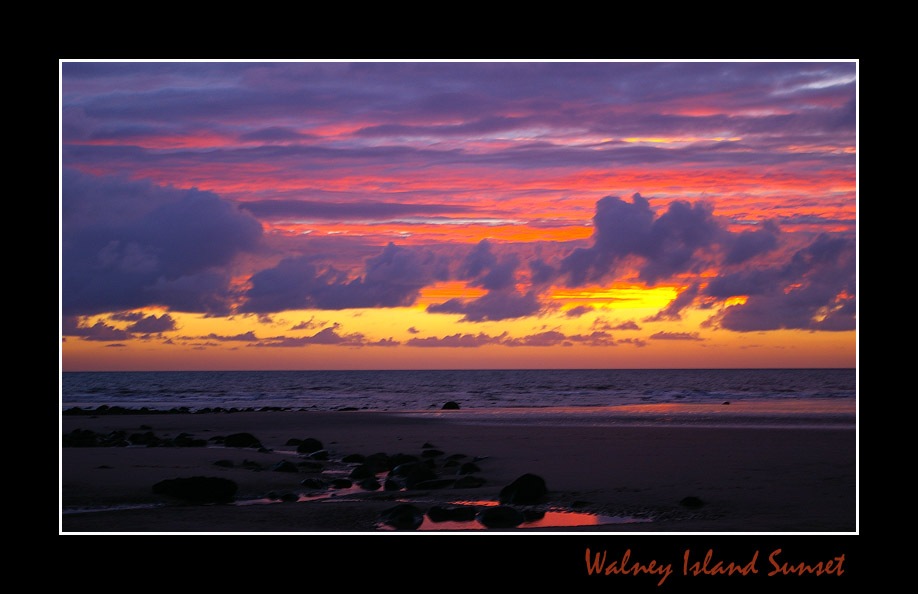 Click now to see this image full size.