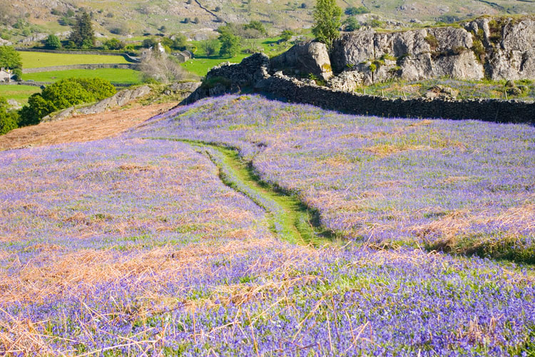 Click now to see this image full size.