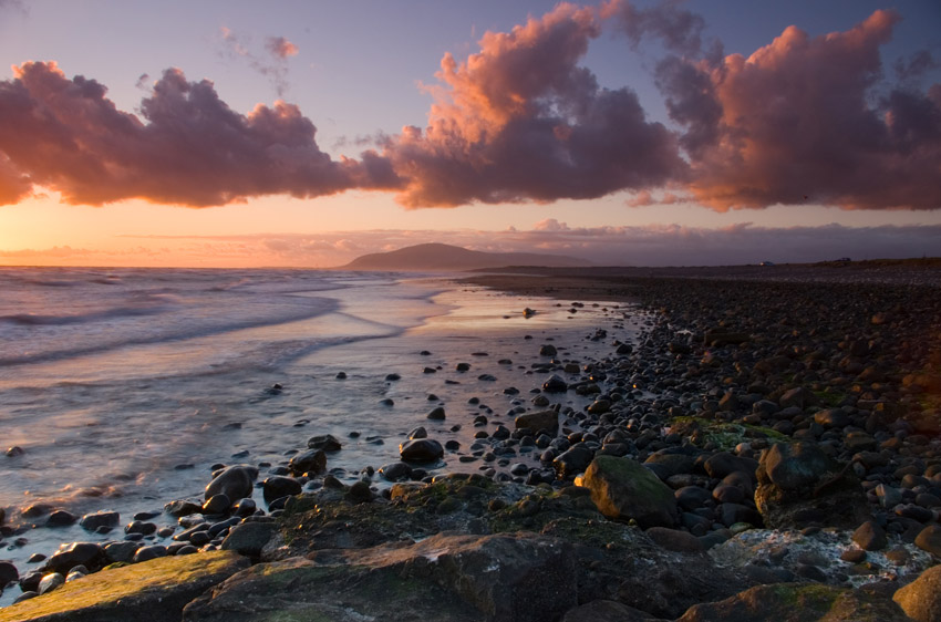 Click now to see this image full size.