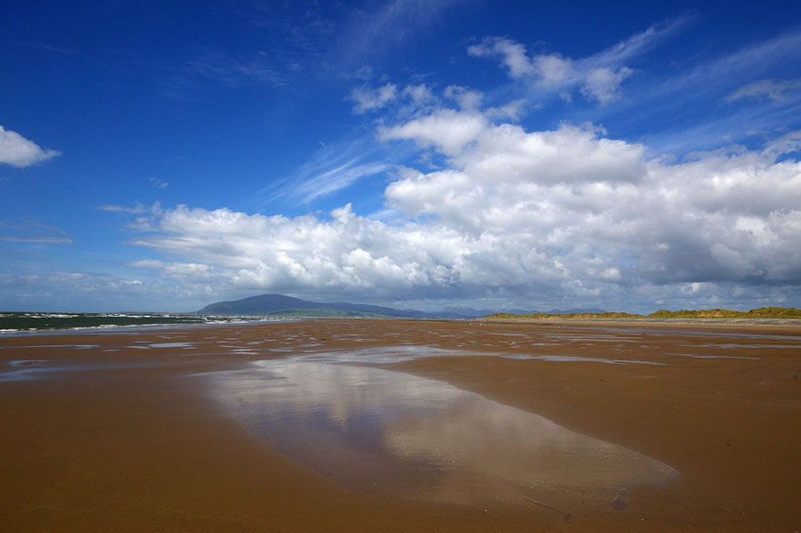 Click now to see this image full size.