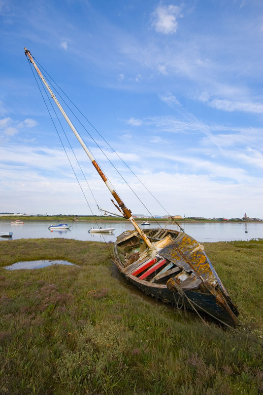 Click now to see this image full size.