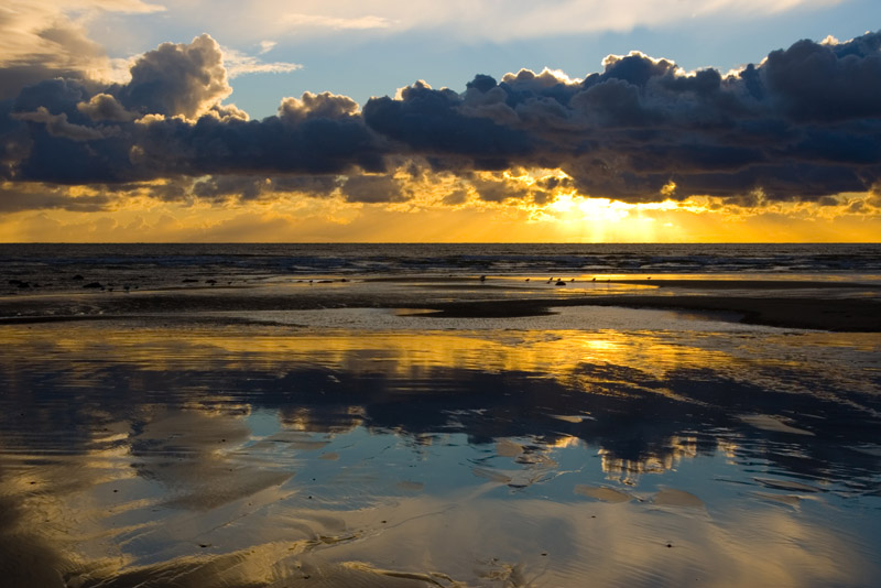 Click now to see this image full size.