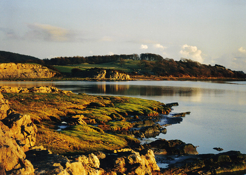 Click now to see this image full size.