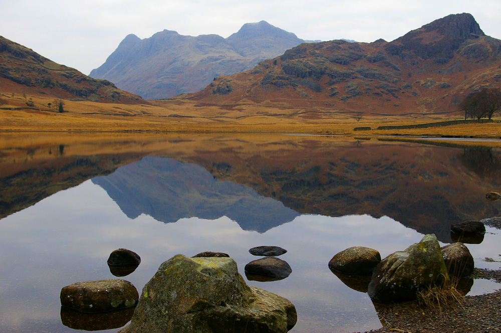 Click now to see this image full size.