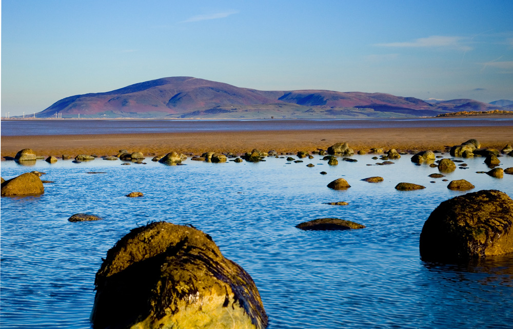 Click now to see this image full size.