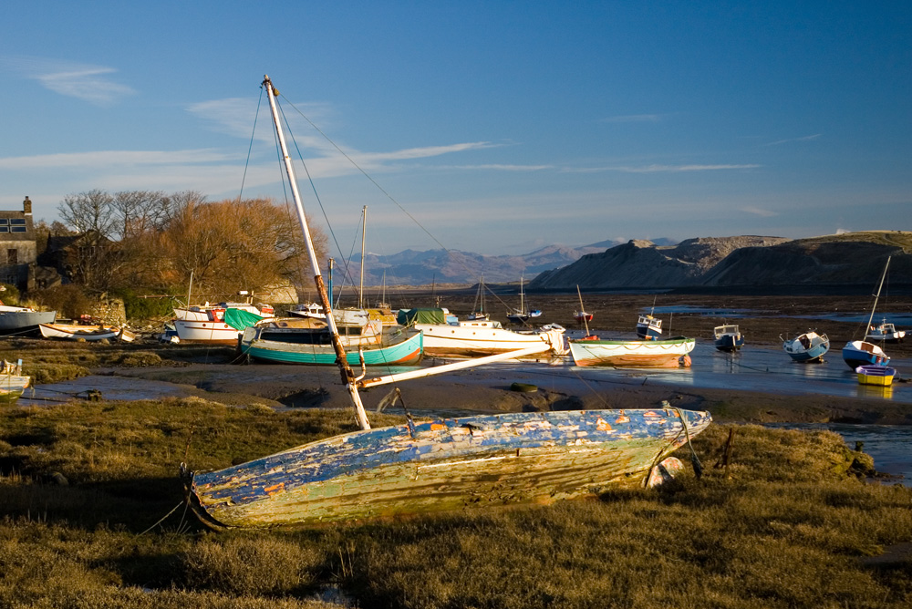 Click now to see this image full size.