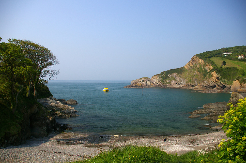 Click now to see this image full size.