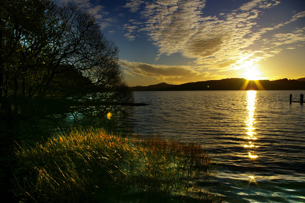 Click now to see this image full size.