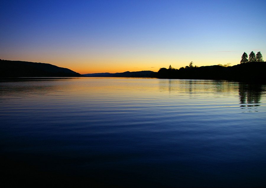 Click now to see this image full size.