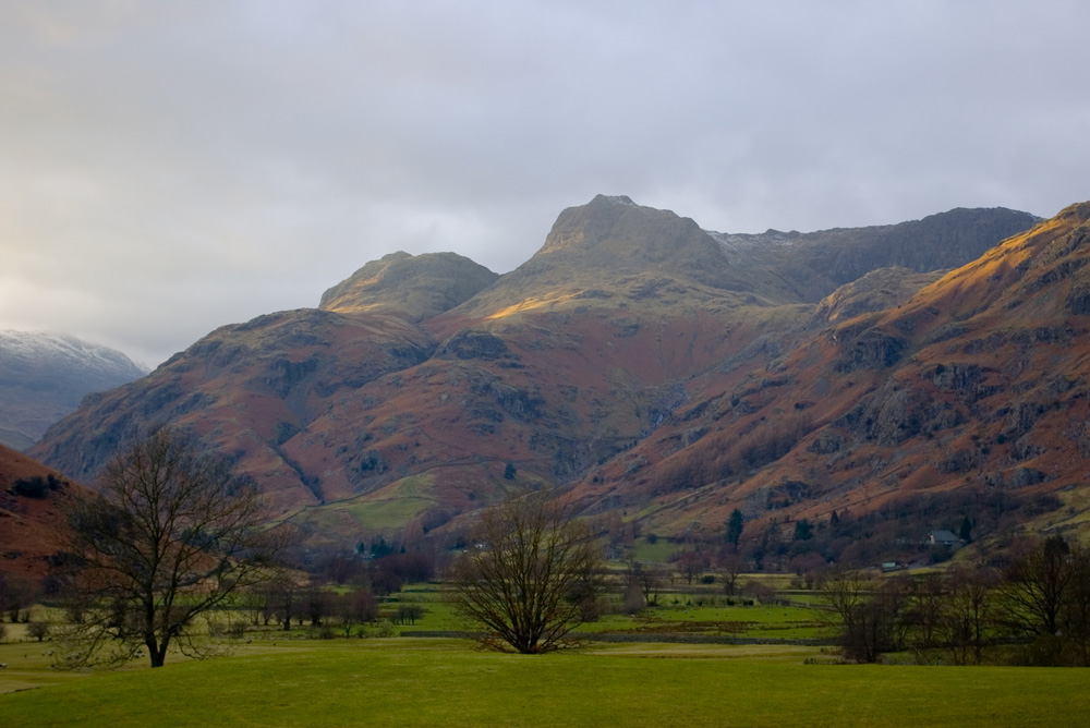 Click now to see this image full size.