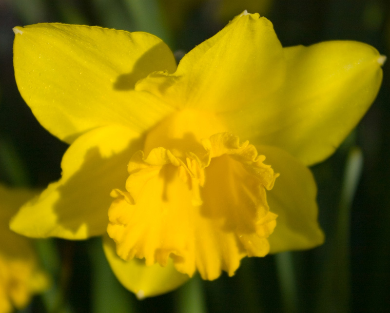 Click now to see this image full size.