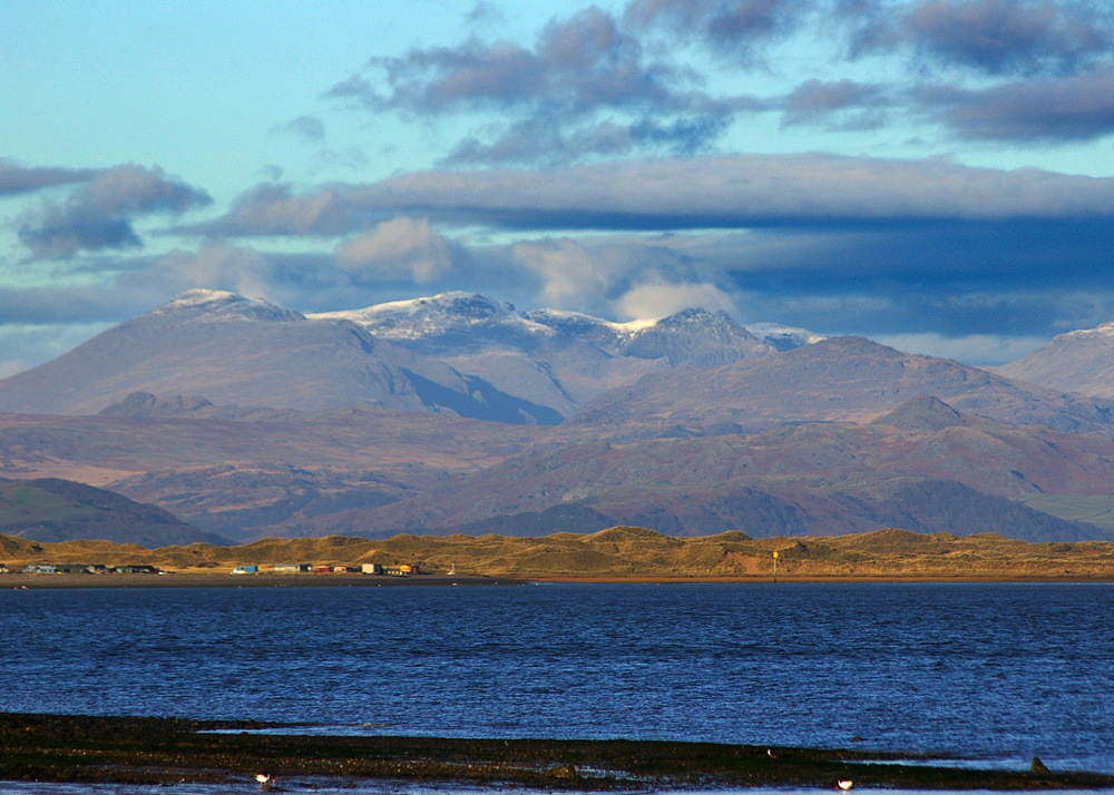 Click now to see this image full size.