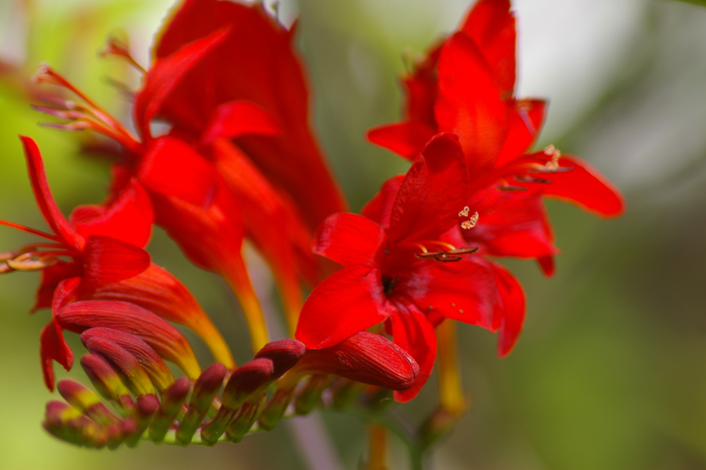 Click now to see this image full size.