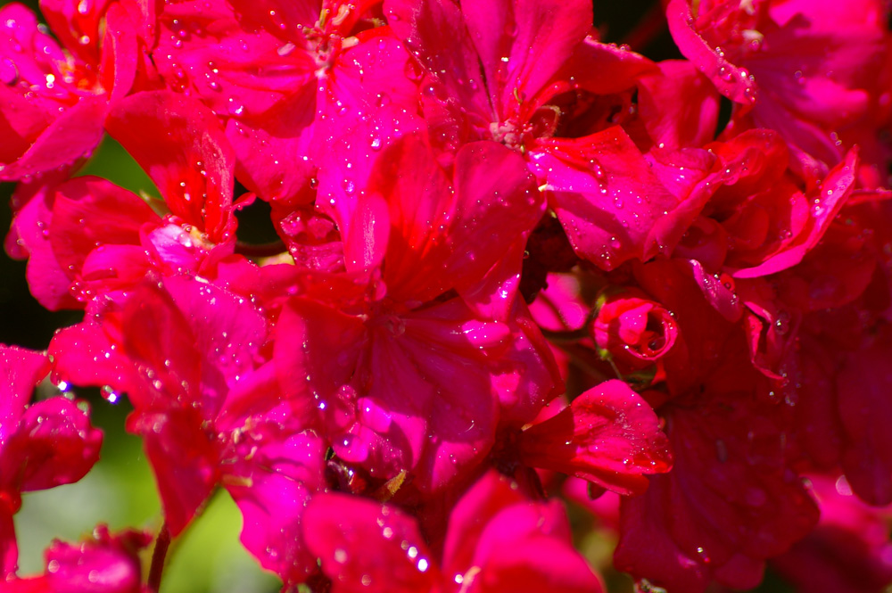 Click now to see this image full size.