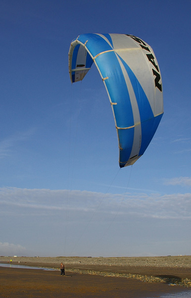 Click now to see this image full size.