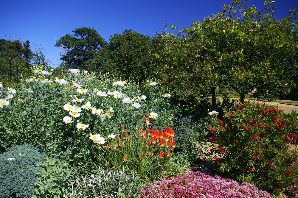 Click now to see this image full size.