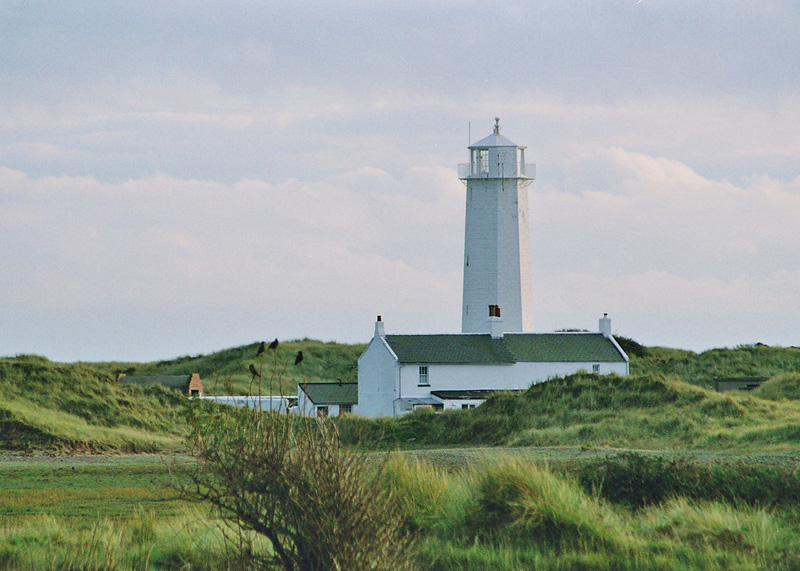 Click now to see this image full size.