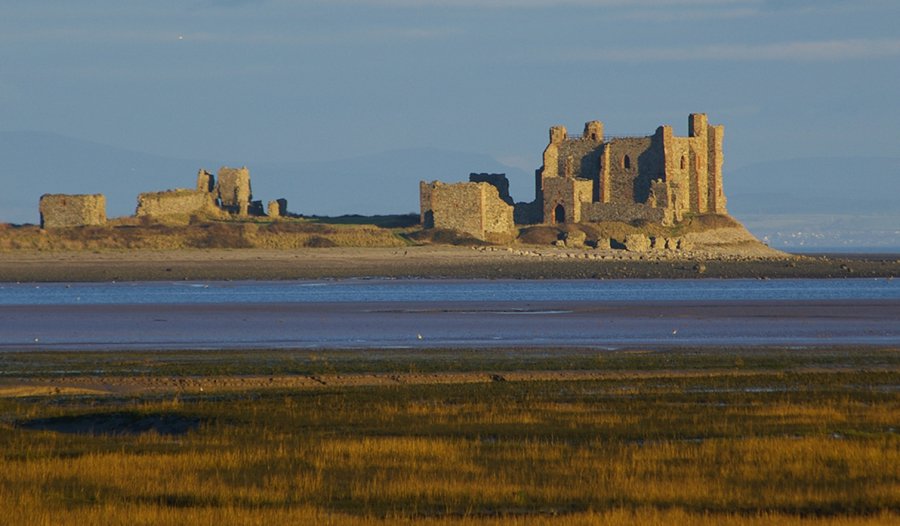 Click now to see this image full size.