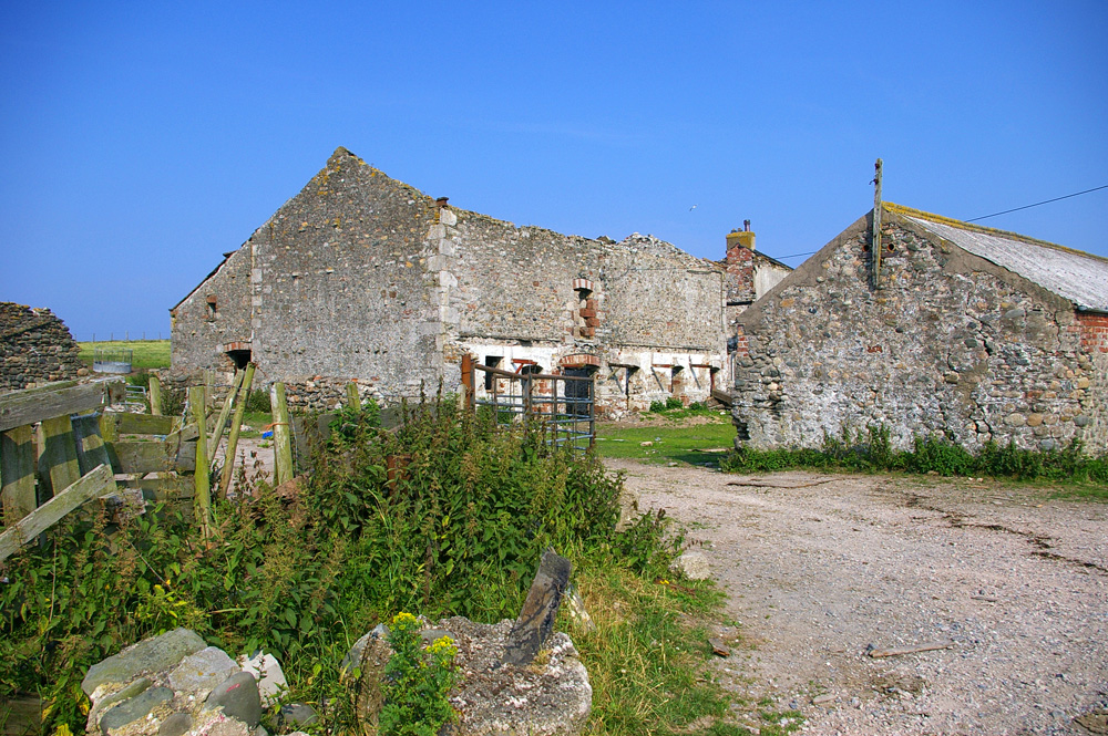 Click now to see this image full size.