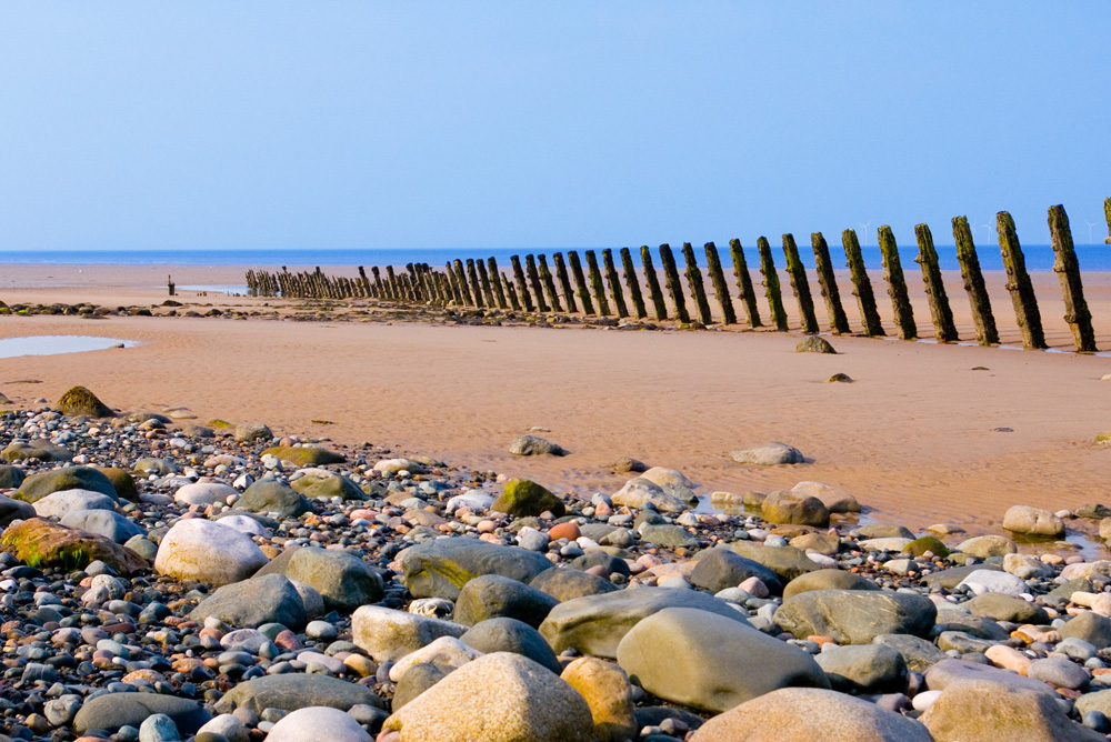 Click now to see this image full size.